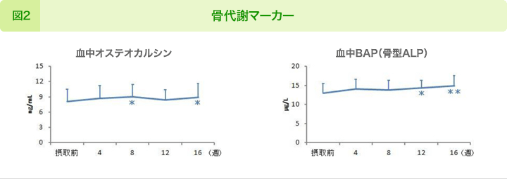 図2：骨代謝マーカー