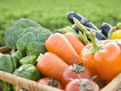 食品の色と健康 -緑色のクロレラ-