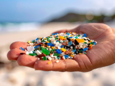 マイクロ/ナノプラスチックがアルツハイマー病のリスクを高める